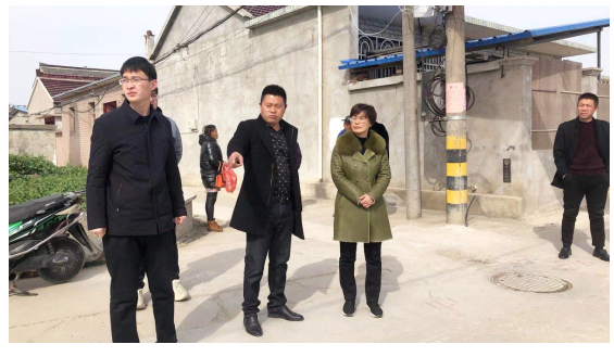 兴化市人民政府副市长刘汉梅到林湖调研人居环境整治工作
